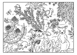 Coloring Page - Print for Free