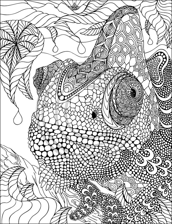 Coloring Page - Print for Free